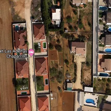 Adelfas Chaparrillo *