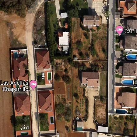 Adelfas Chaparrillo